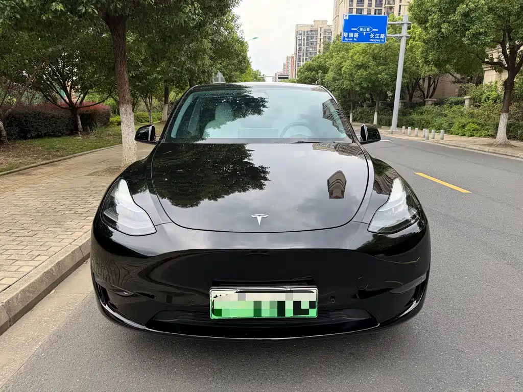 Tesla Model Y — миниатюра 2