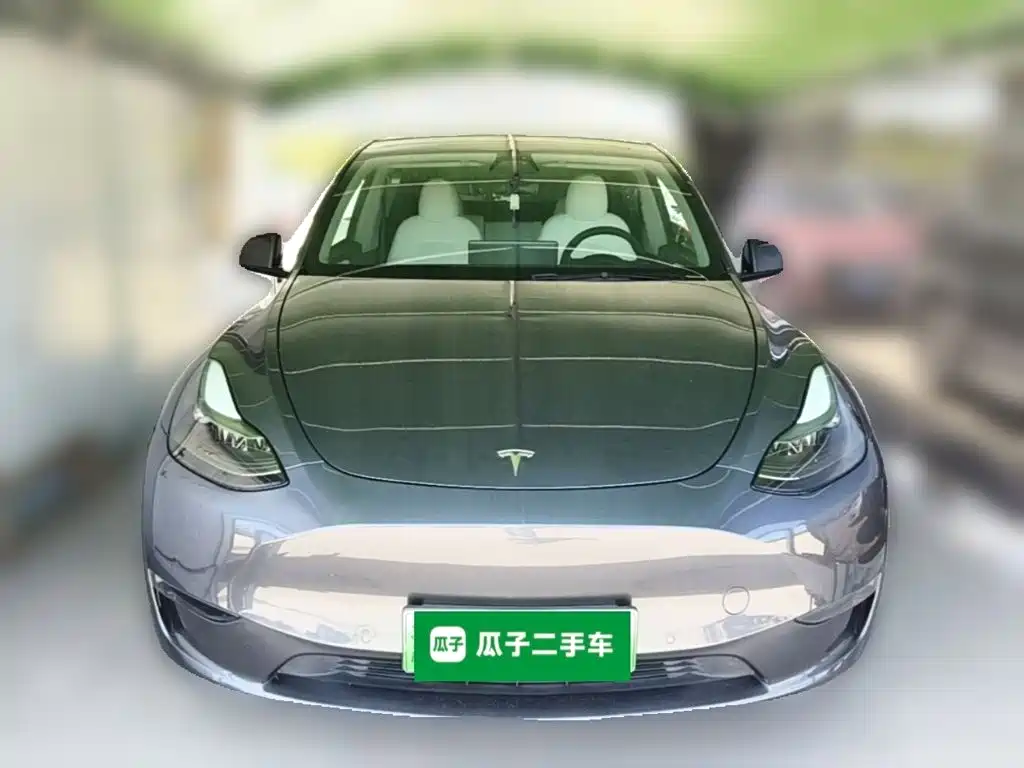 Tesla Model Y — миниатюра 5
