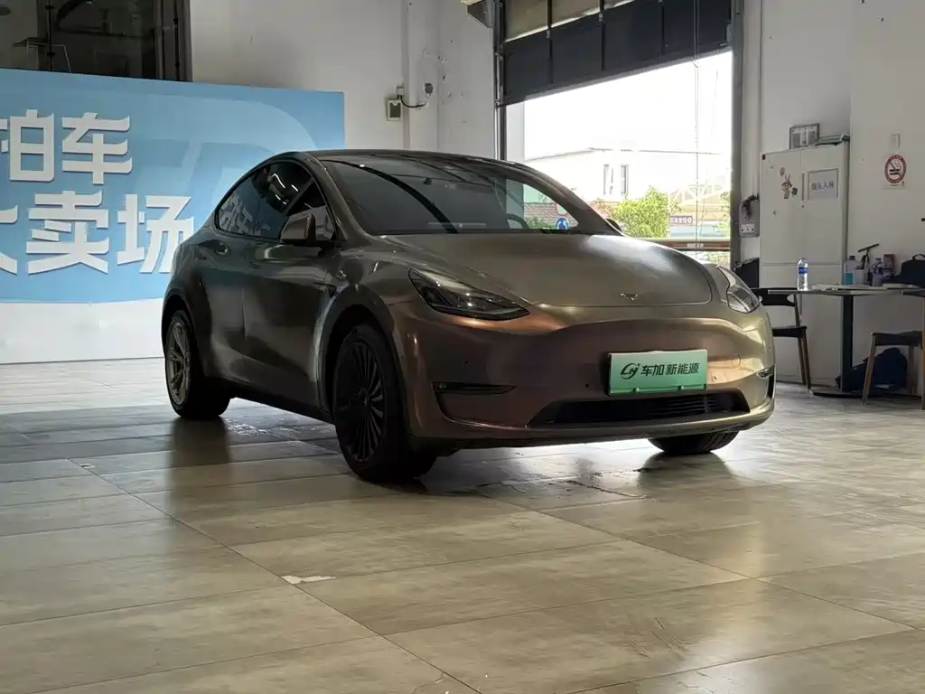 Tesla Model Y — миниатюра 3