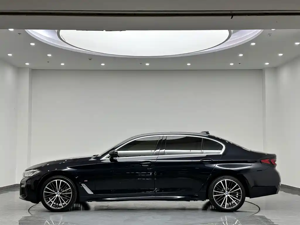 BMW 5 Series — миниатюра 4