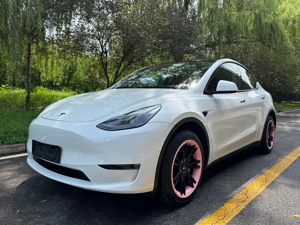2023 Tesla Model Y - zdjęcie 1 z 18