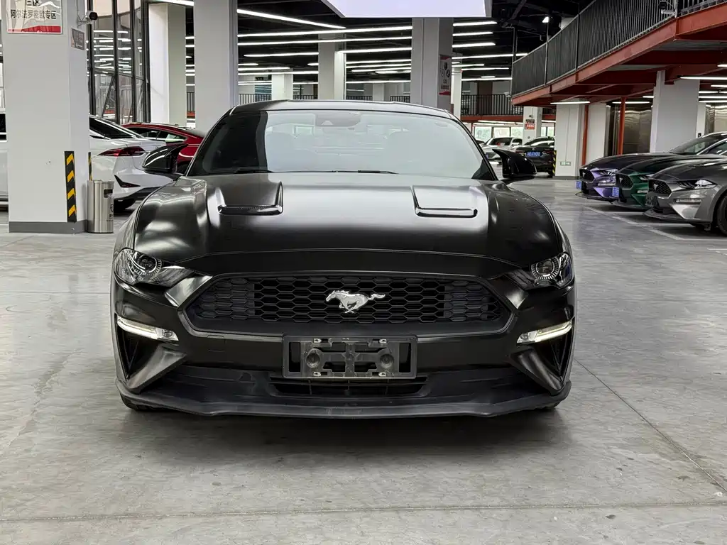 Ford Mustang — миниатюра 2