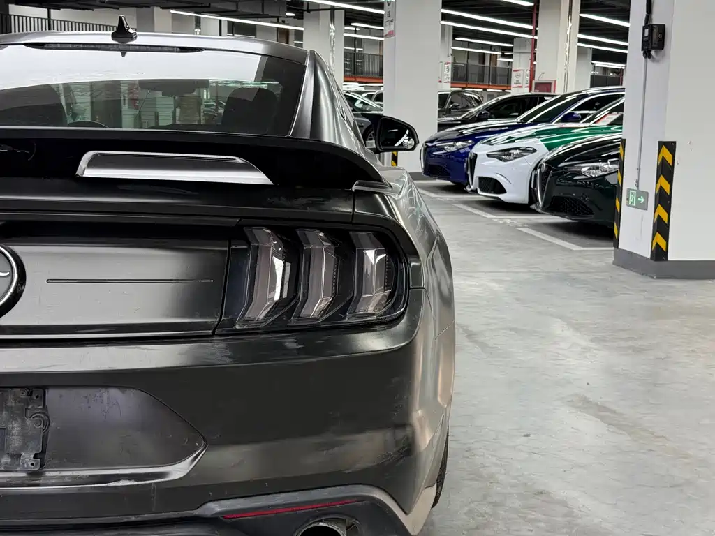 Ford Mustang — миниатюра 21