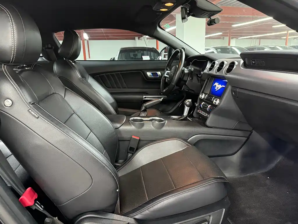 Ford Mustang — миниатюра 14