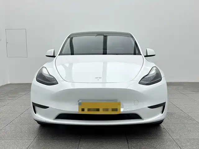 Tesla Model Y — миниатюра 2