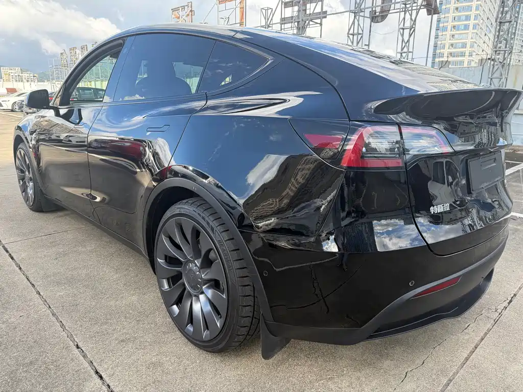Tesla Model Y — миниатюра 7