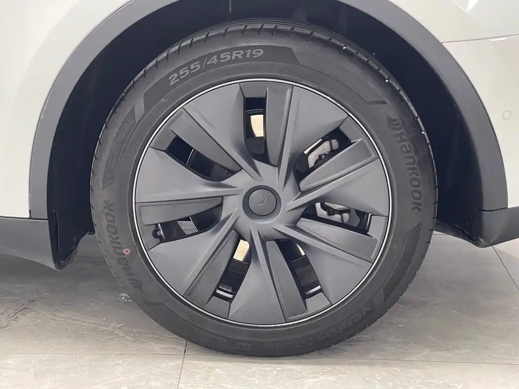 Tesla Model Y — миниатюра 19