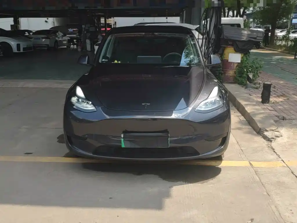 Tesla Model Y — миниатюра 3