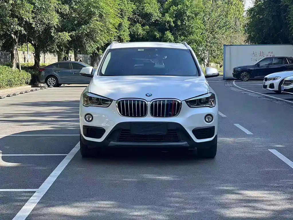 BMW X1 — миниатюра 2