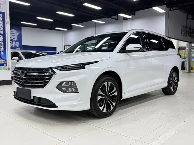 2022 Wuling Motors Victory
