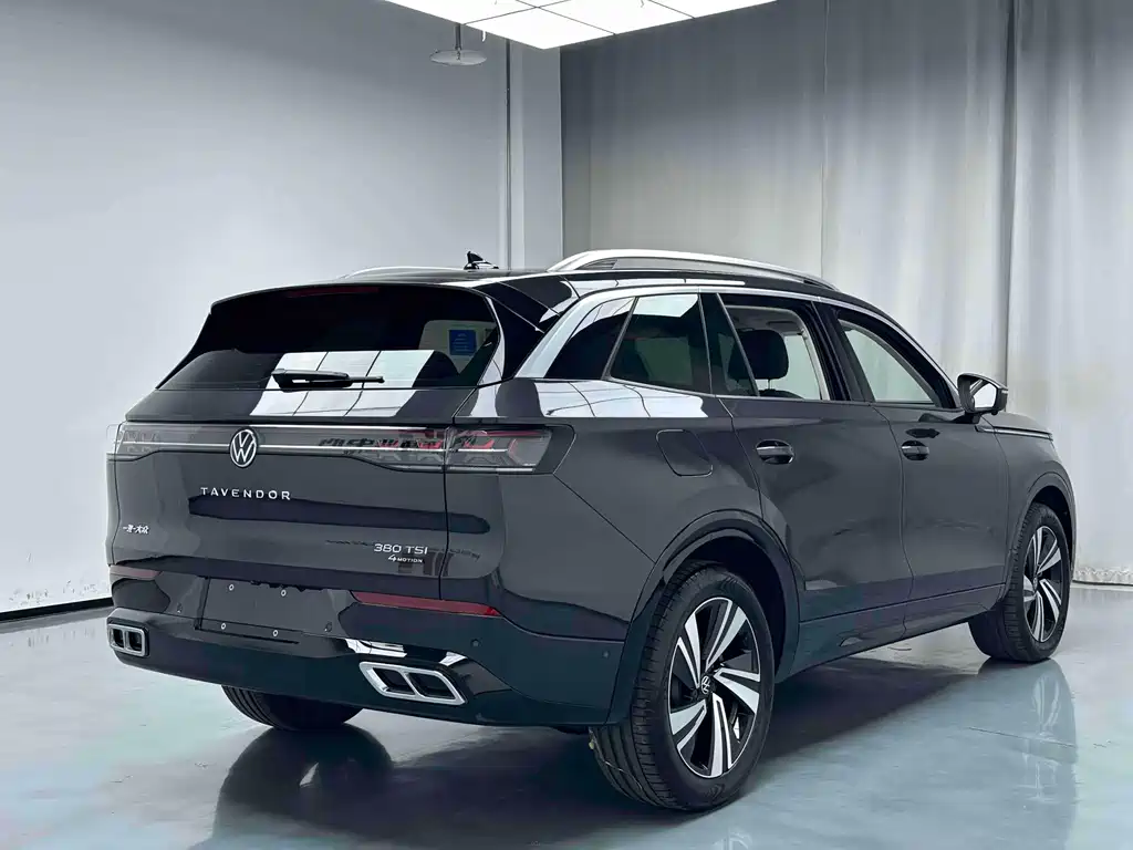 Volkswagen Tavendor — миниатюра 2
