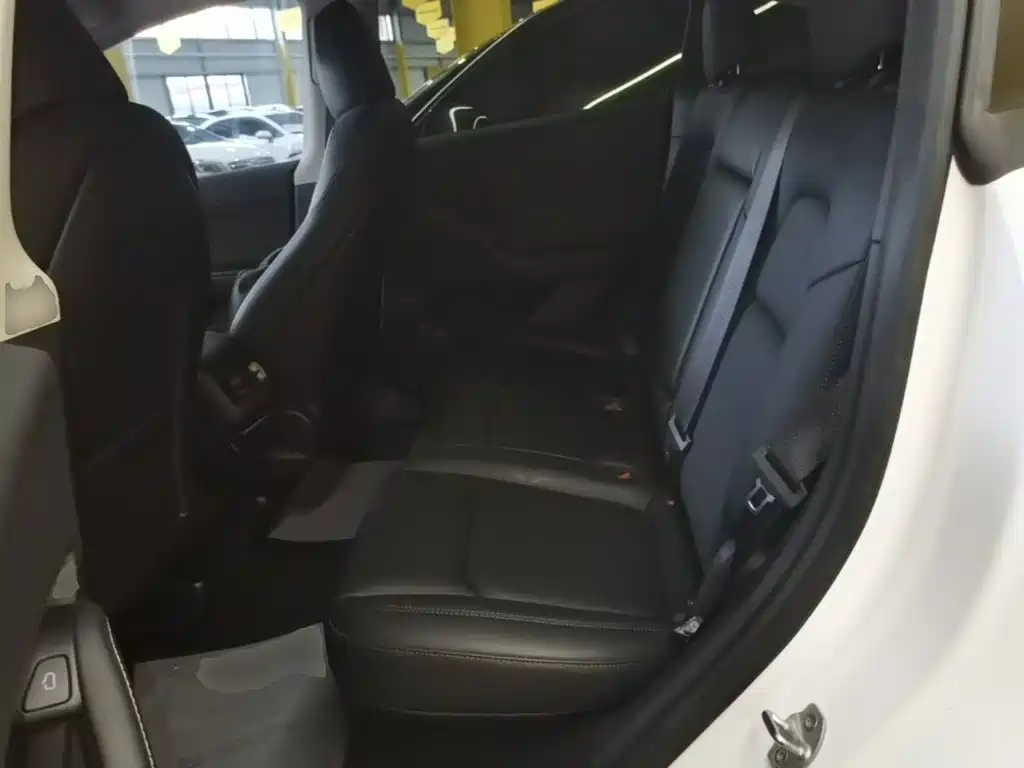 Tesla Model Y — миниатюра 17