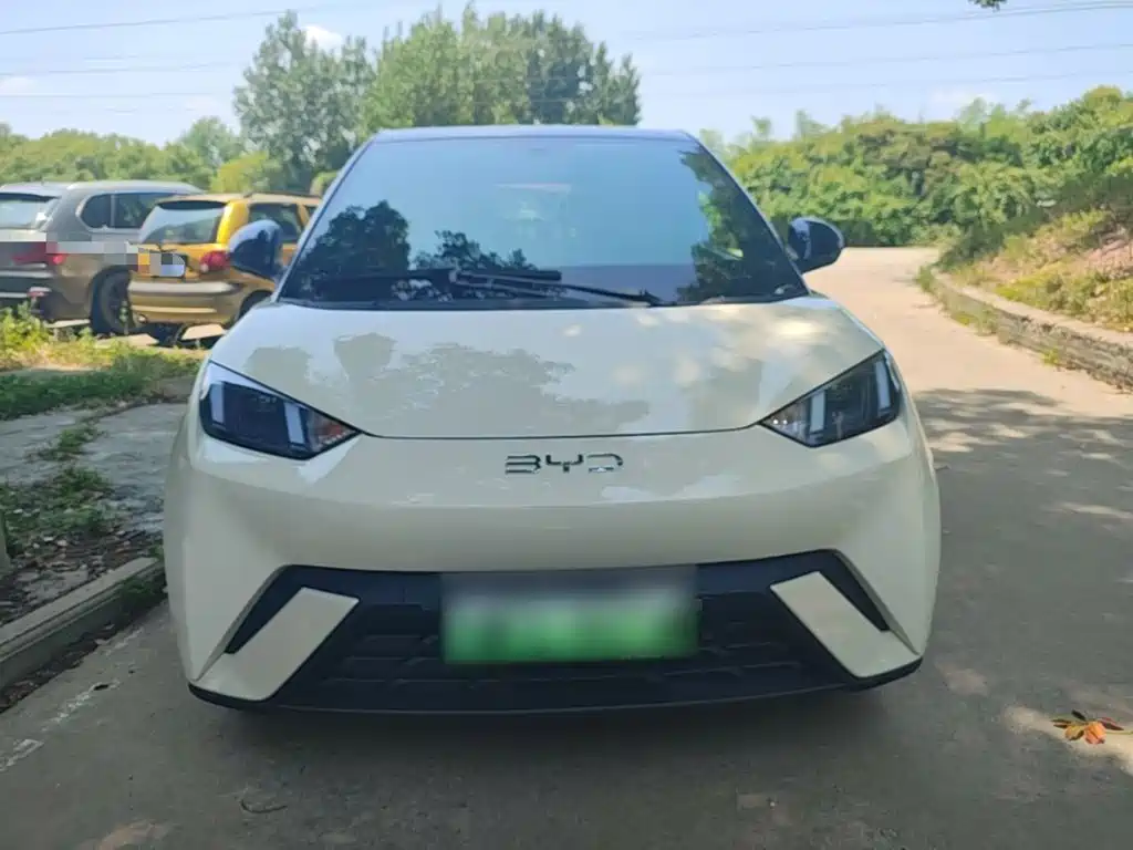 BYD Seagull 2024 405km Flying
