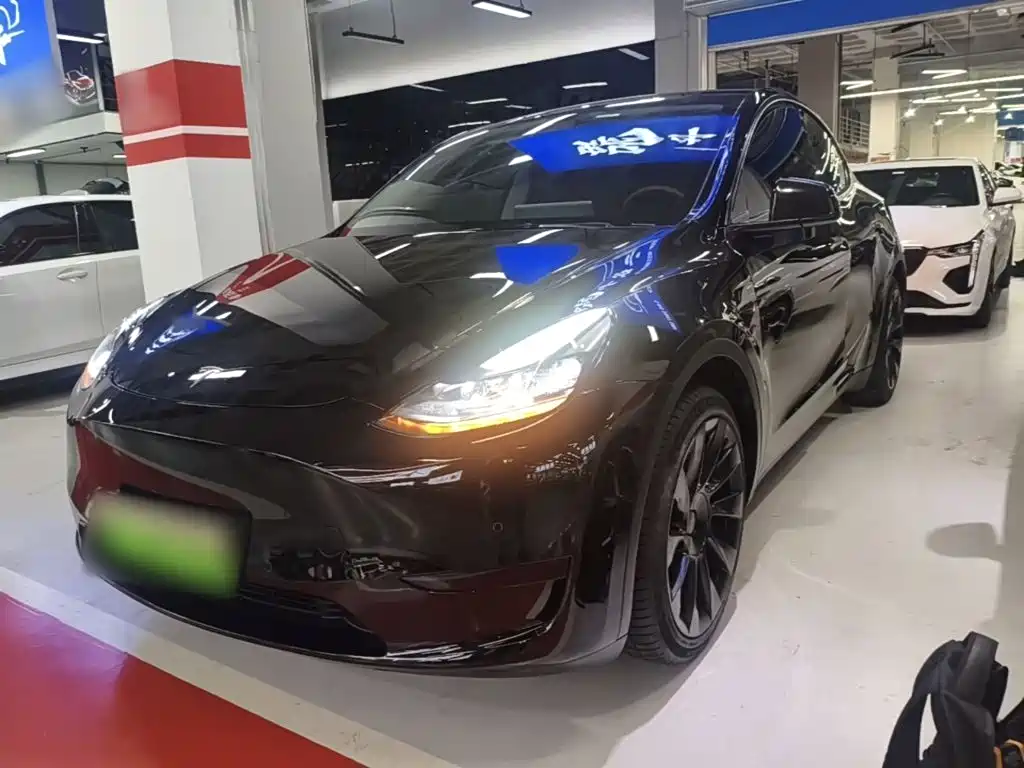 Tesla Model Y — миниатюра 2