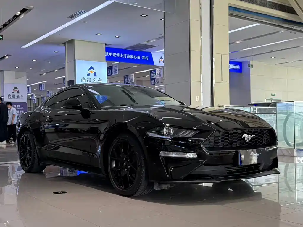 Ford Mustang — миниатюра 20