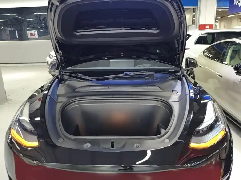 Tesla Model Y — миниатюра 20
