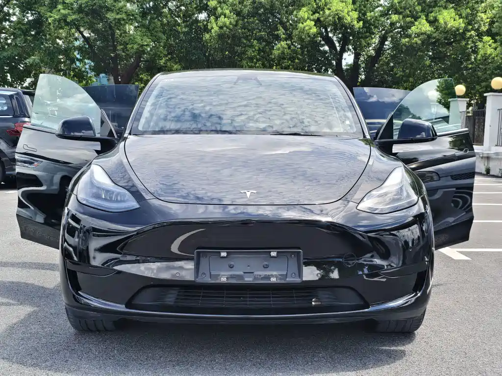 Tesla Model Y — миниатюра 10