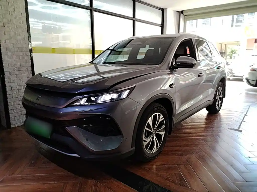 BYD Pro New Energy — миниатюра 2