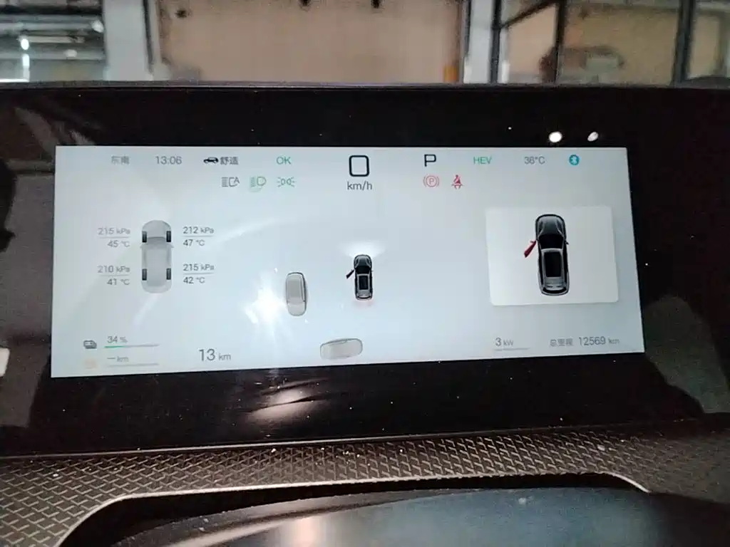 BYD Pro New Energy — миниатюра 12