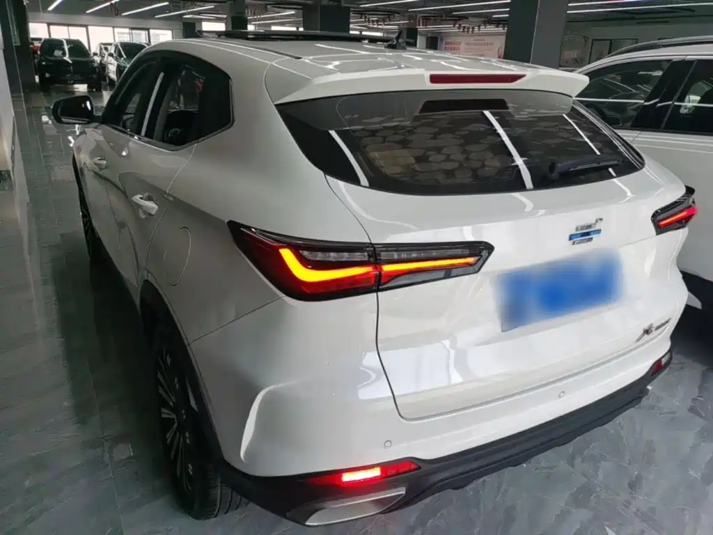 Oshan Oushang X5 — миниатюра 5