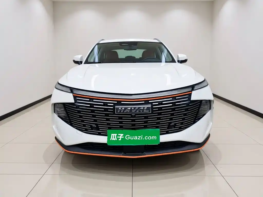 Haval Shenshou — миниатюра 2
