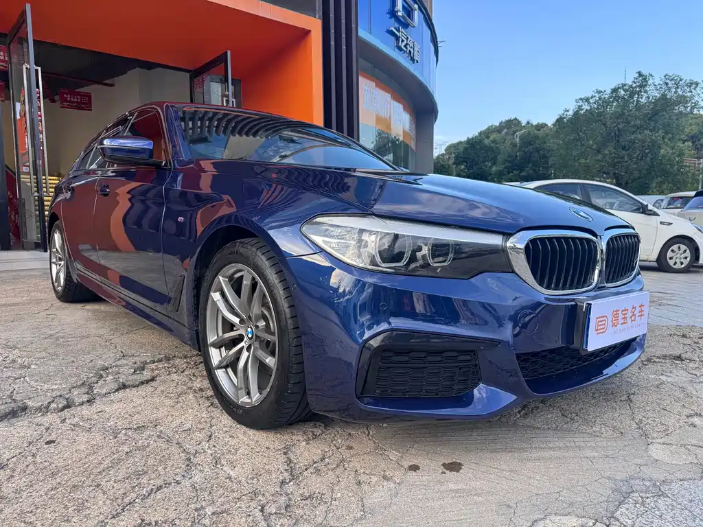 BMW 5 Series (Import) — миниатюра 3