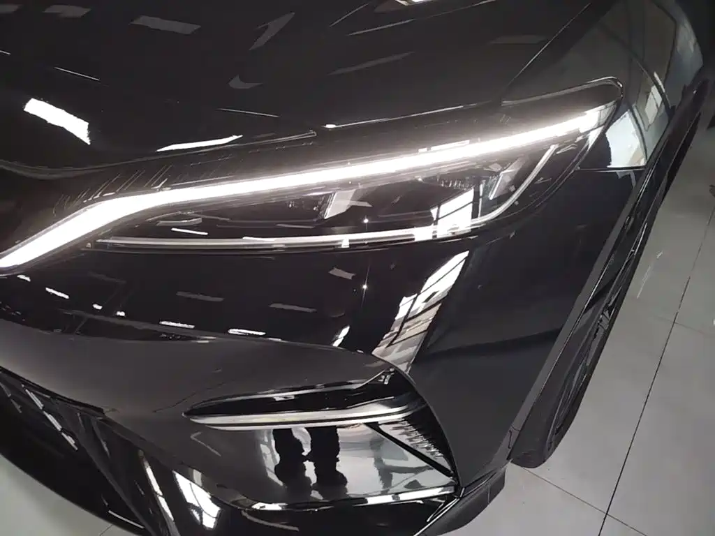 BYD L EV — миниатюра 24
