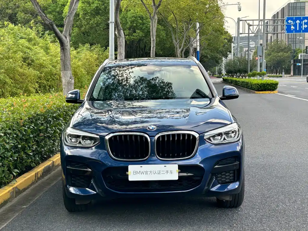 BMW X3 — миниатюра 2