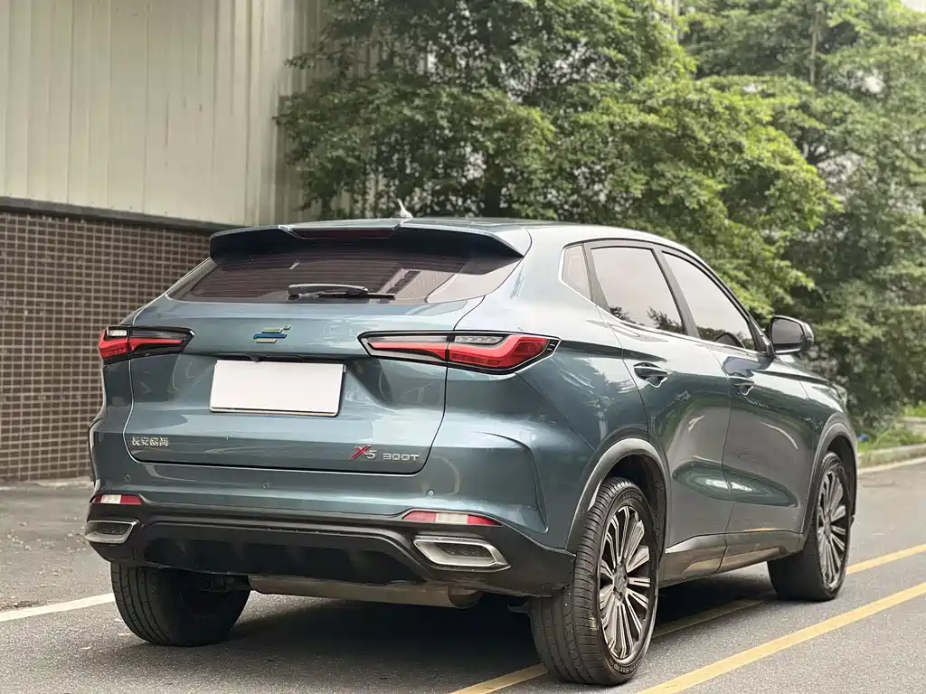 Oshan Oushang X5 — миниатюра 14