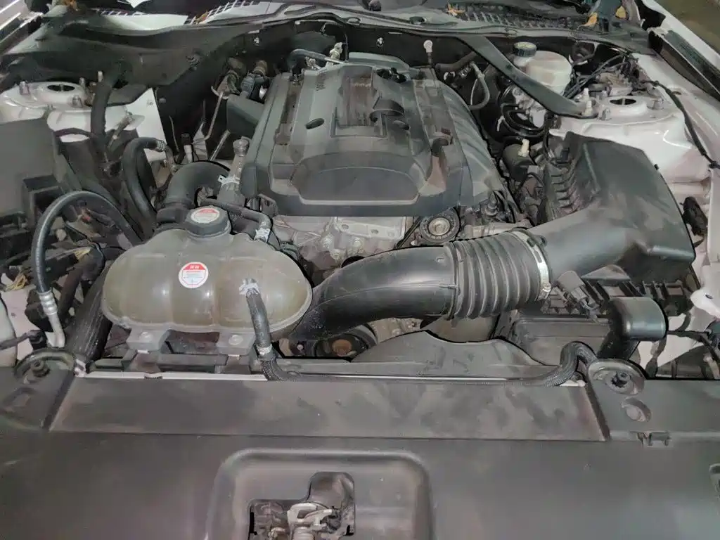 Ford Mustang — миниатюра 21