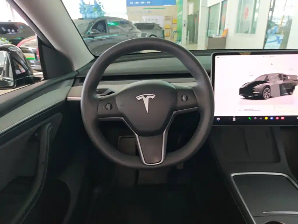 Tesla Model Y — миниатюра 11