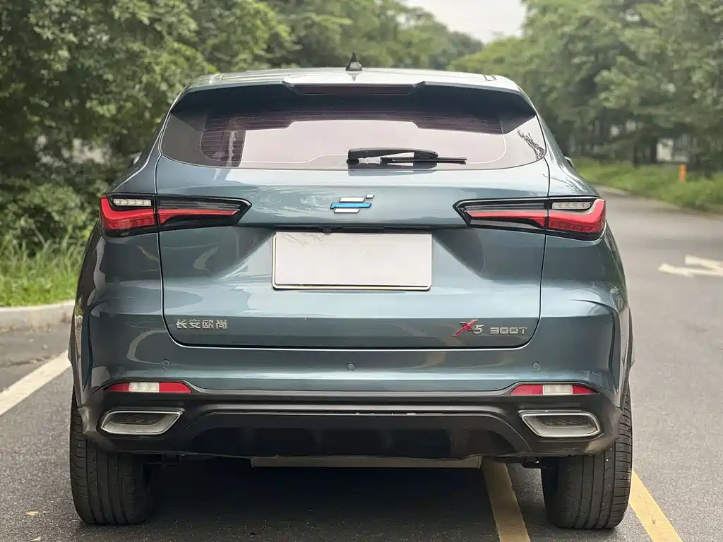 Oshan Oushang X5 — миниатюра 15
