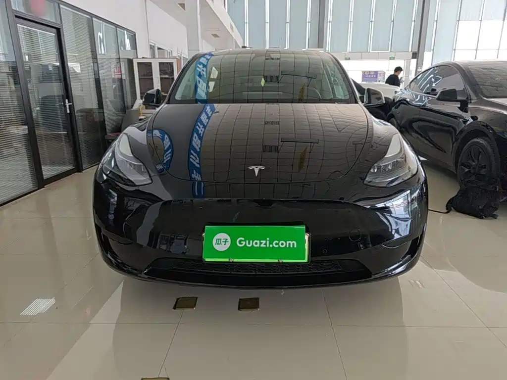 Tesla Model Y — миниатюра 3
