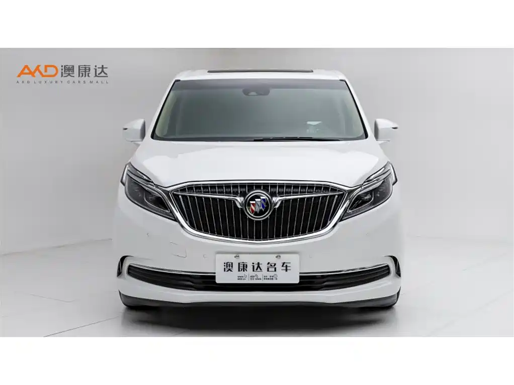 Buick GL8 — миниатюра 2
