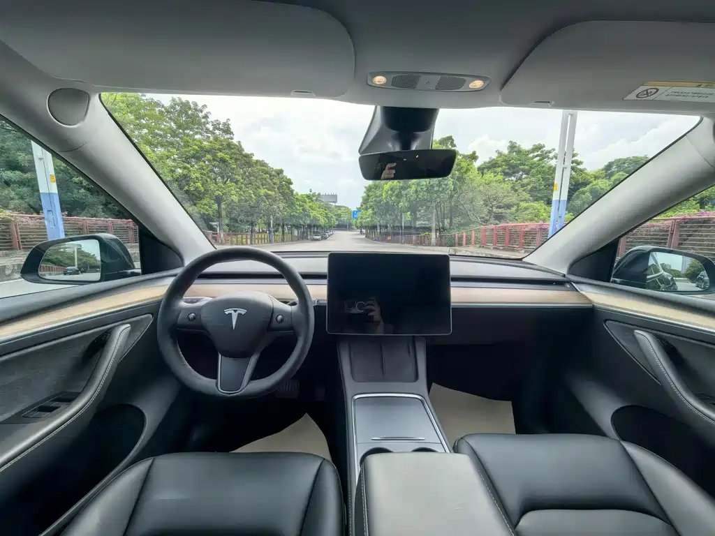 Tesla Model Y — миниатюра 9