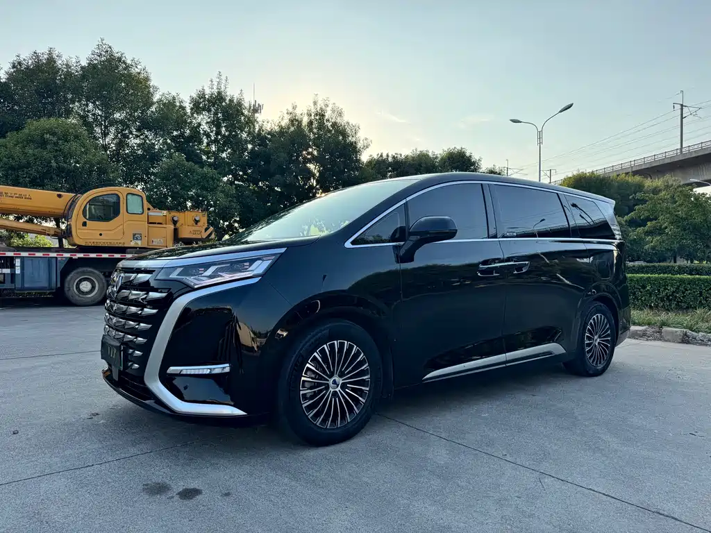 Denza Denza D9 — миниатюра 3