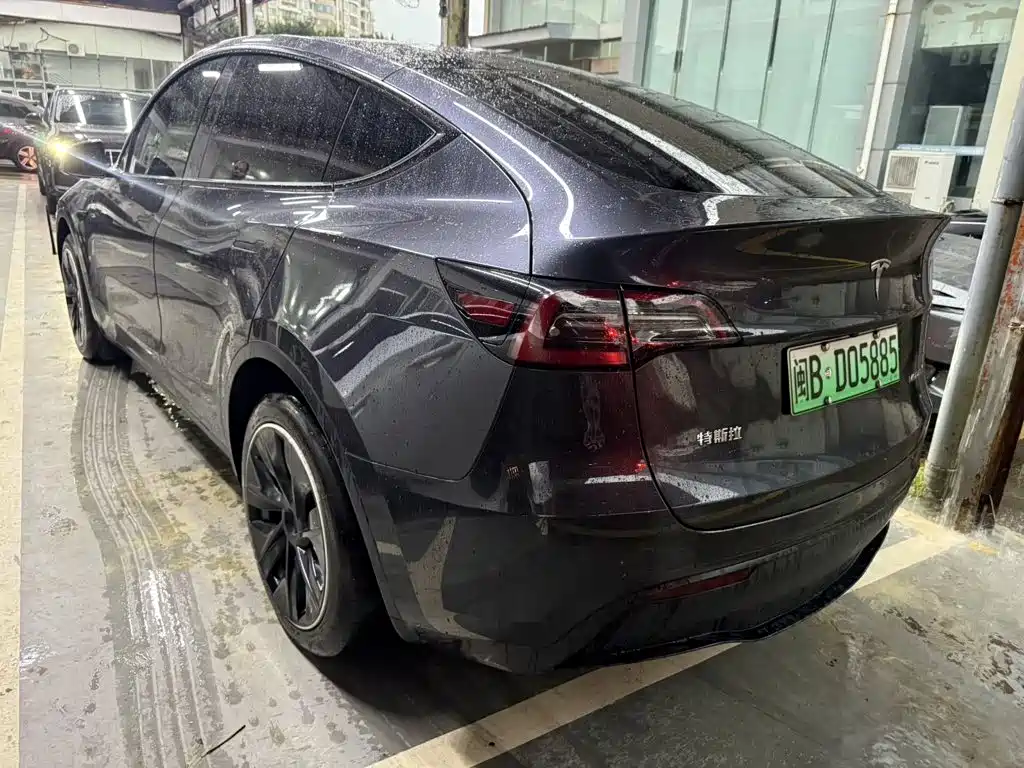 Tesla Model Y — миниатюра 8