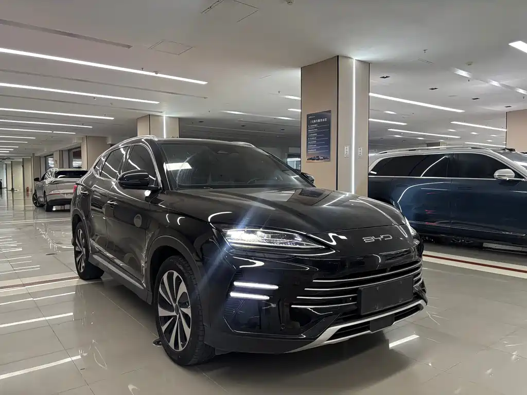 BYD PLUS New Energy — миниатюра 3