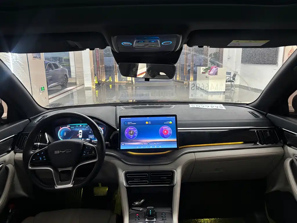 BYD PLUS New Energy — миниатюра 12