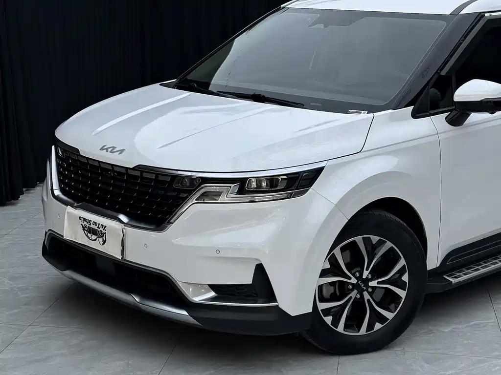 Kia Carnival — миниатюра 2
