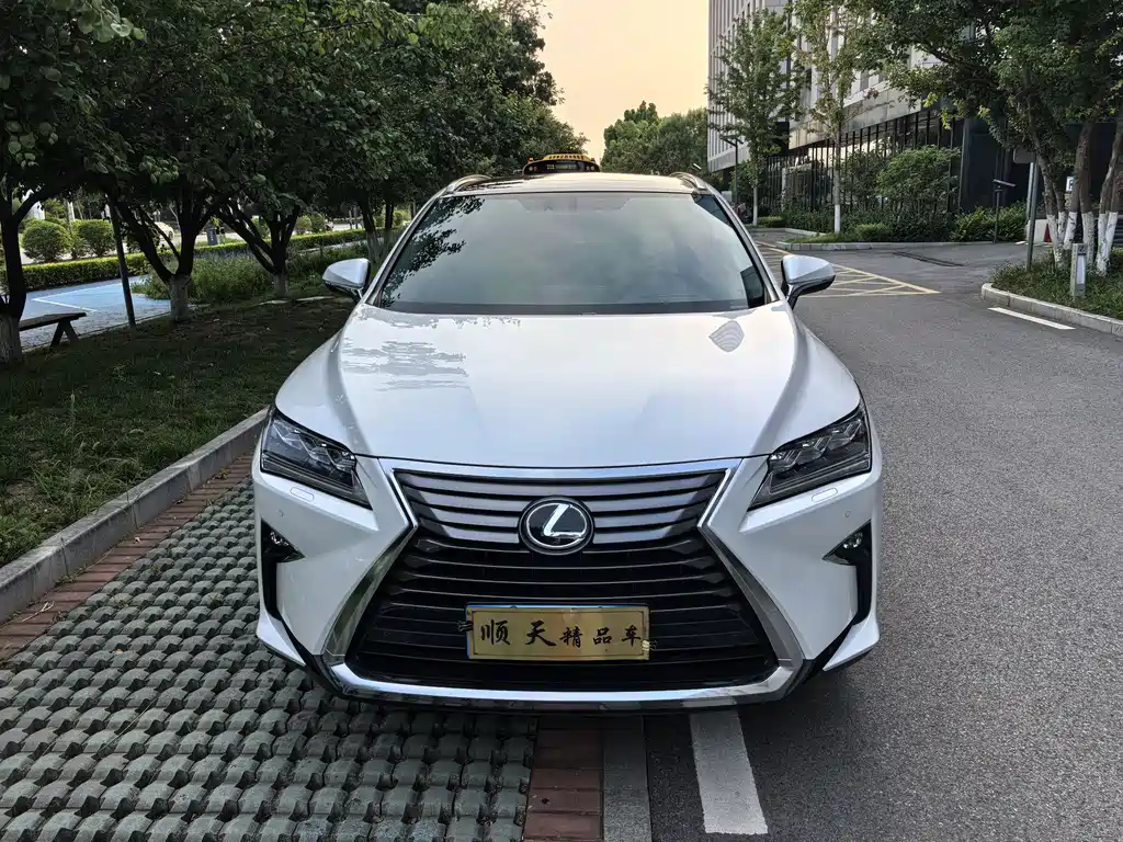 Lexus RX 2020 300 Elegant VI