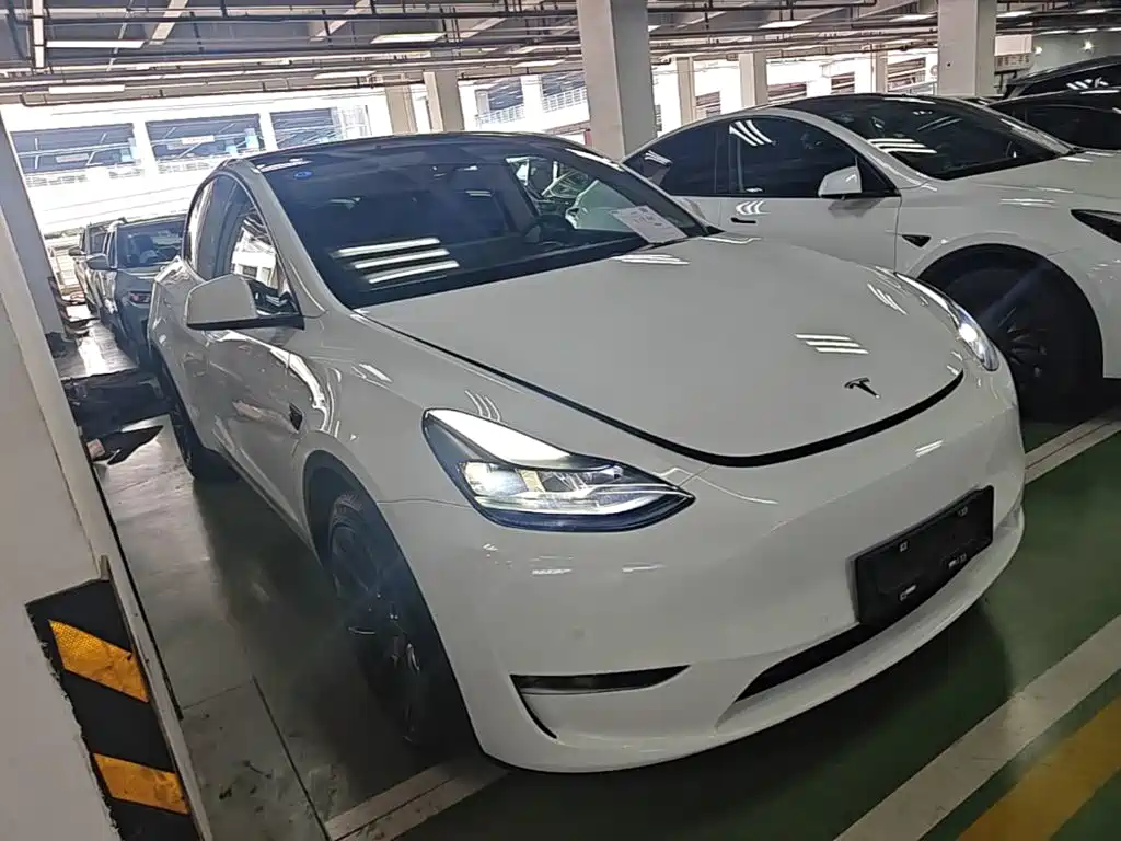 Tesla Model Y — миниатюра 4