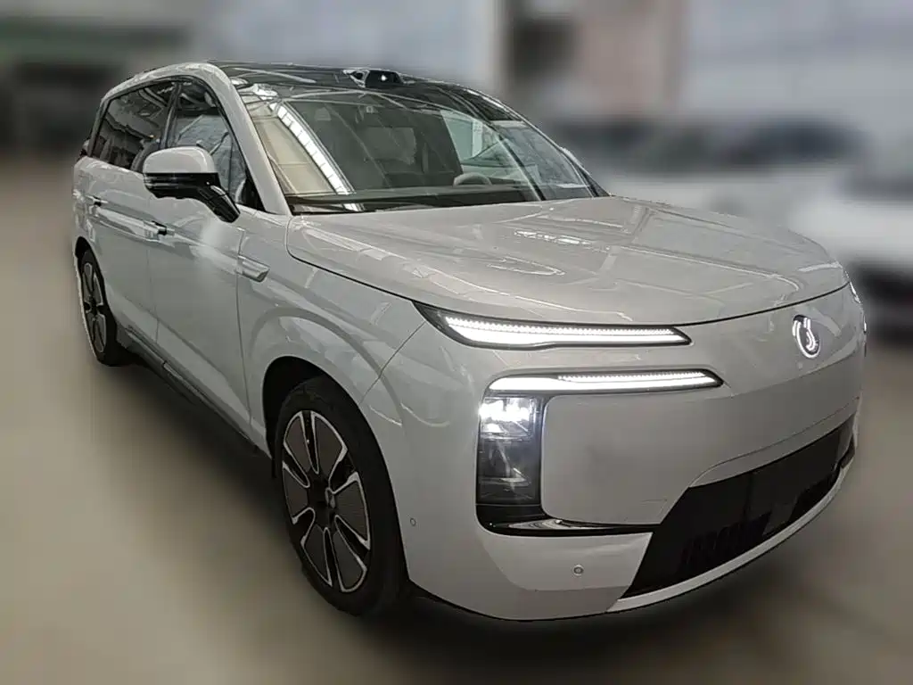 Denza Zoom N8L — миниатюра 7