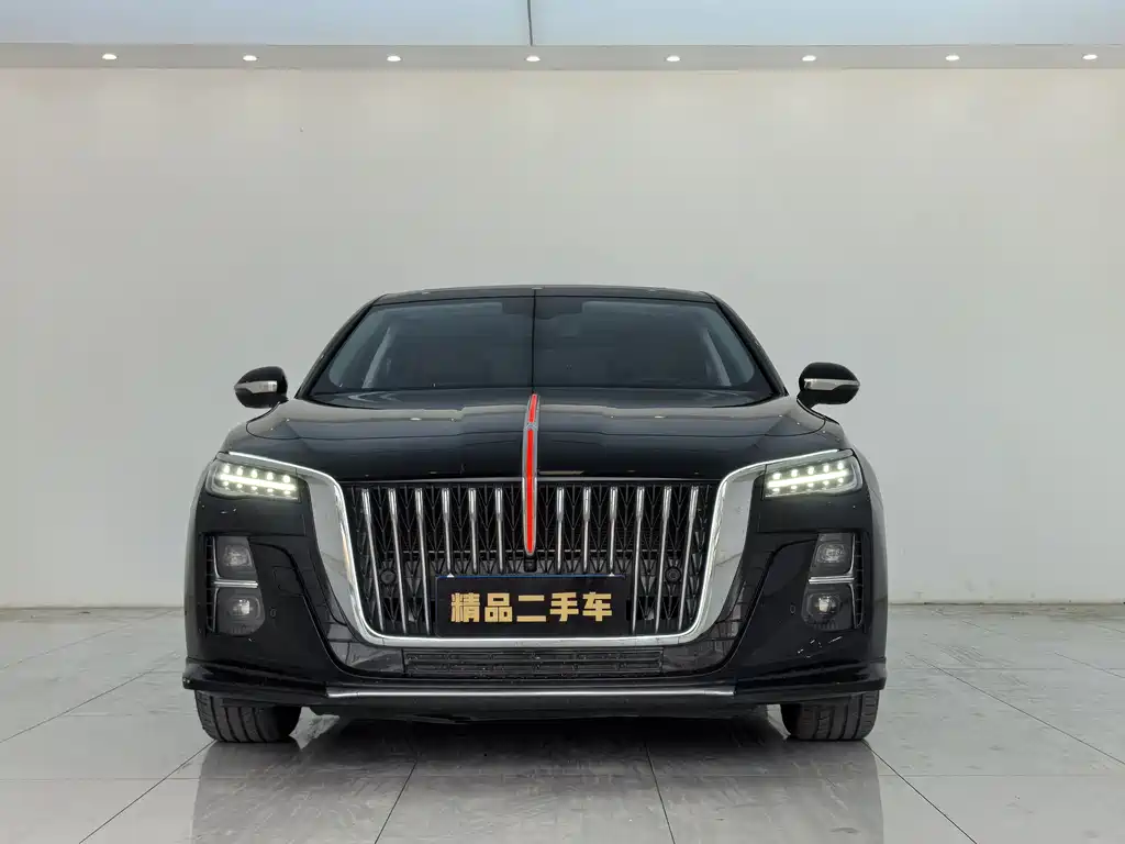 Hongqi Hongqi H5 2024