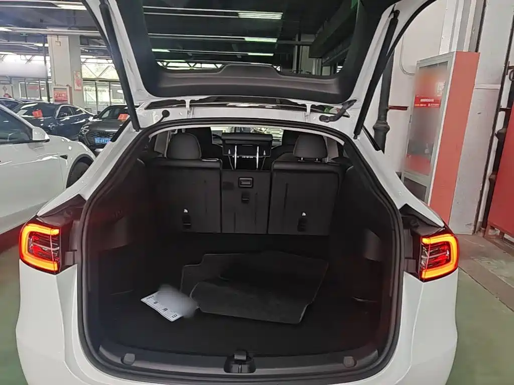 Tesla Model Y — миниатюра 19