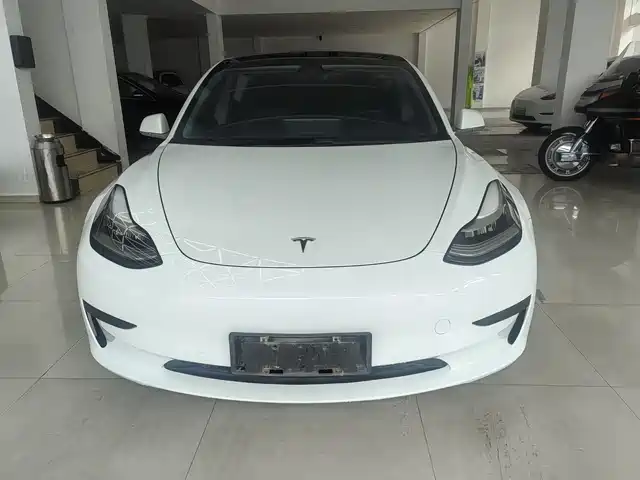 TESLA MODEL 3 2020