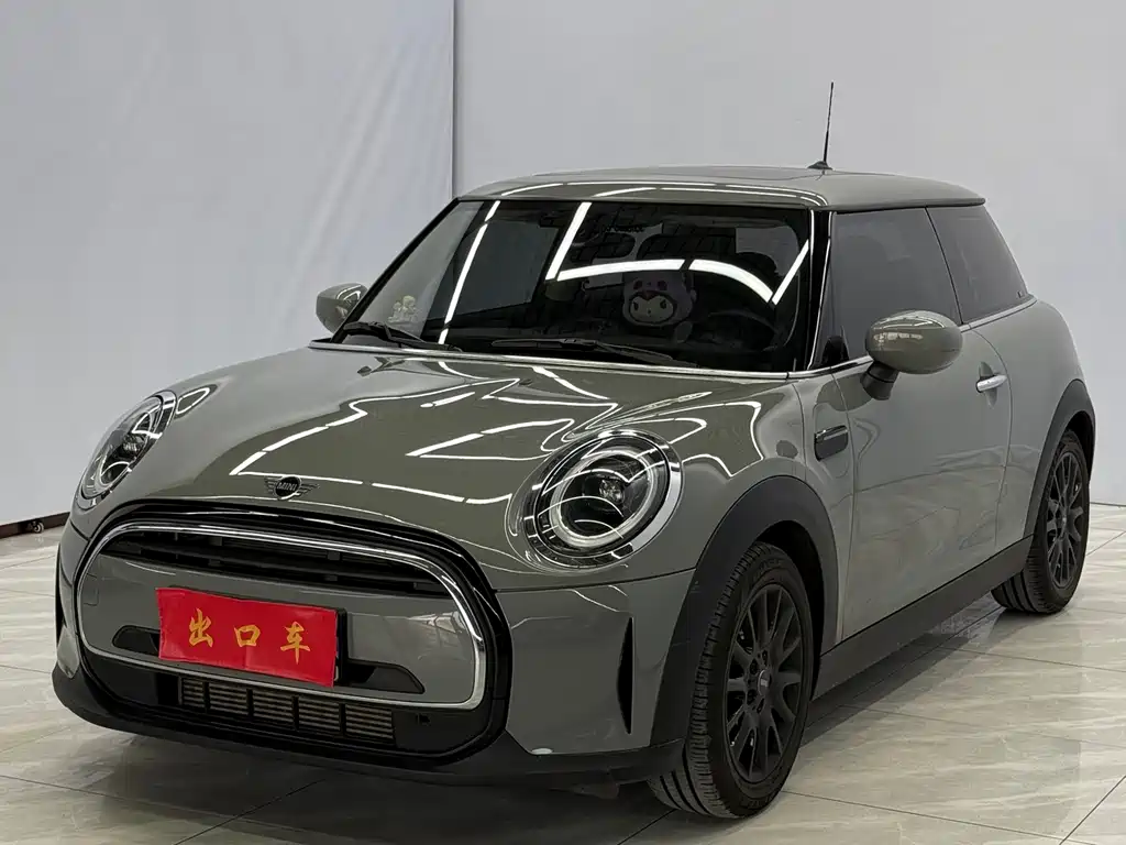 Mini Mini 2021