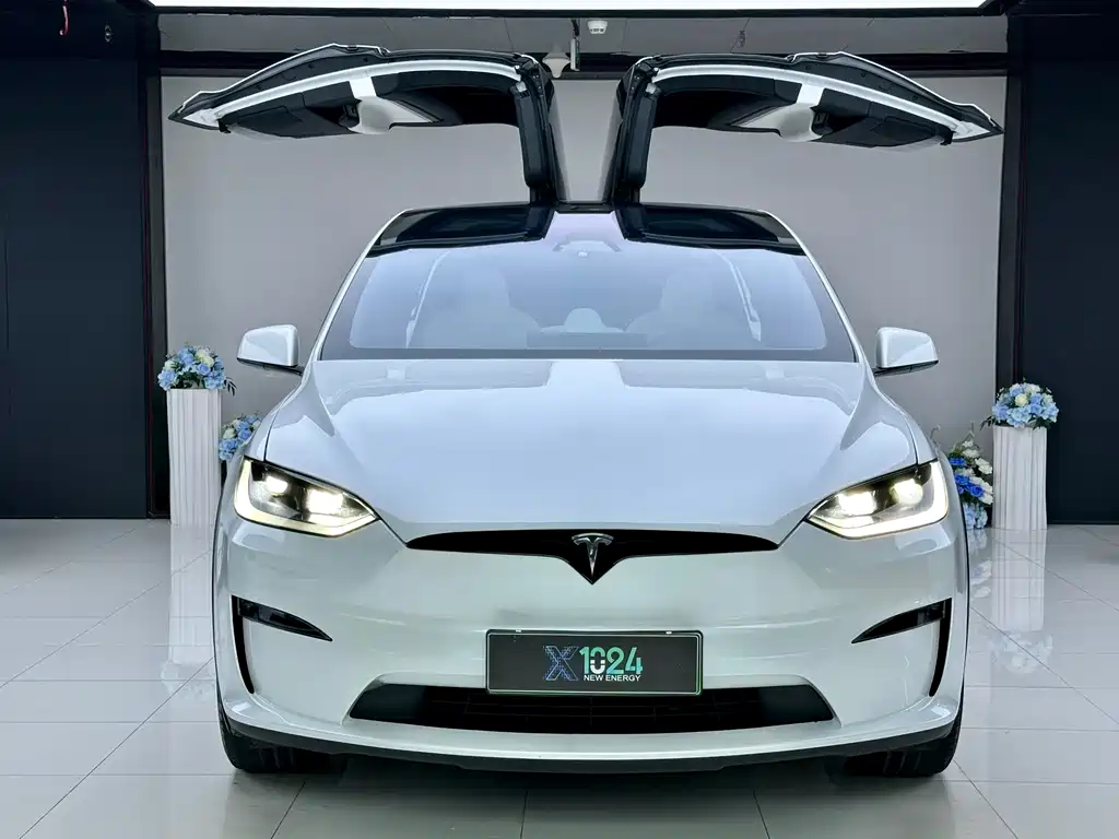 Tesla Model X — миниатюра 2