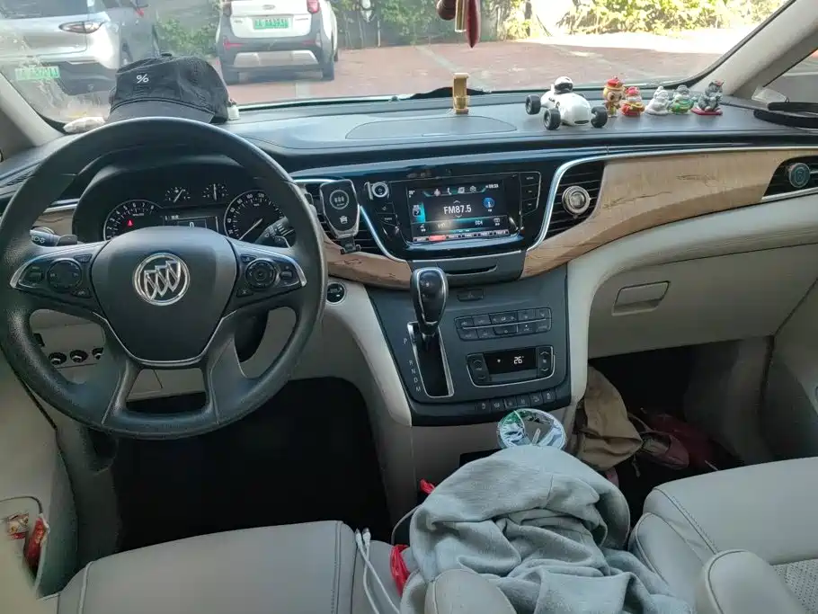 Buick GL8 — миниатюра 12