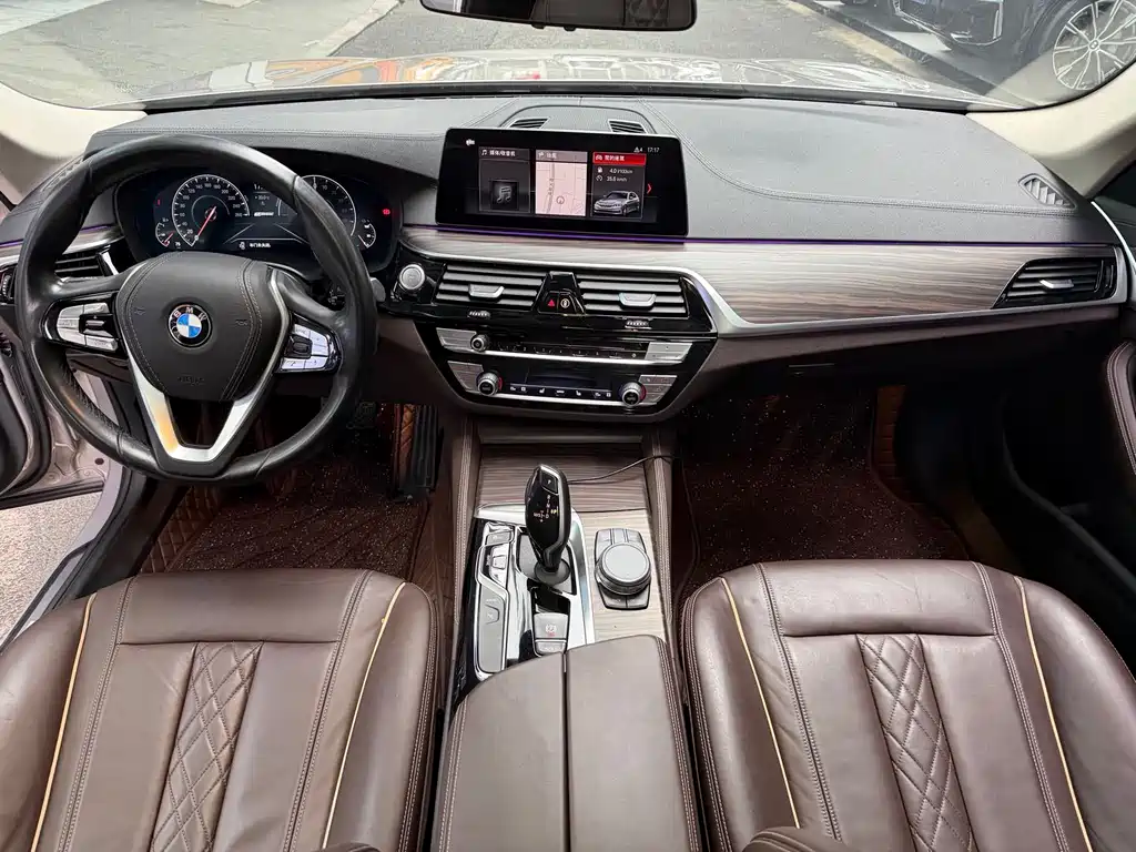 BMW 5 Series New Energy 530Le Luxury Package, фото 11